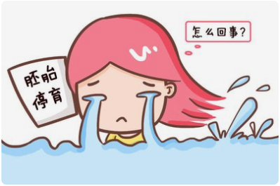 好好的胚胎怎么就停育了呢？